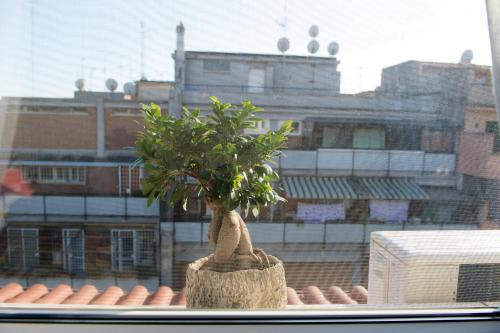 Couette-café Letto E Latte 2*