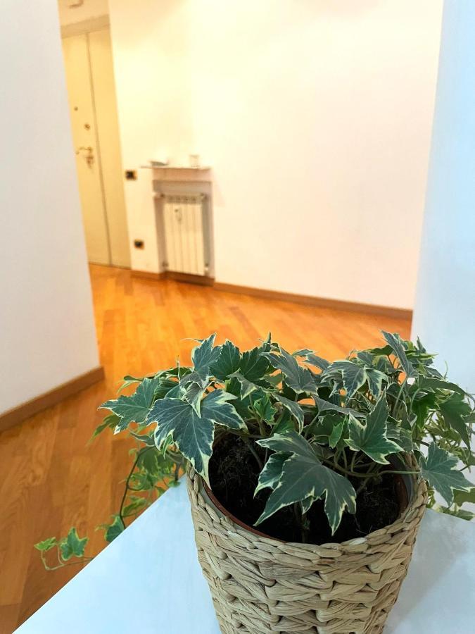 Apartment Ammiragli Vatican Experience
