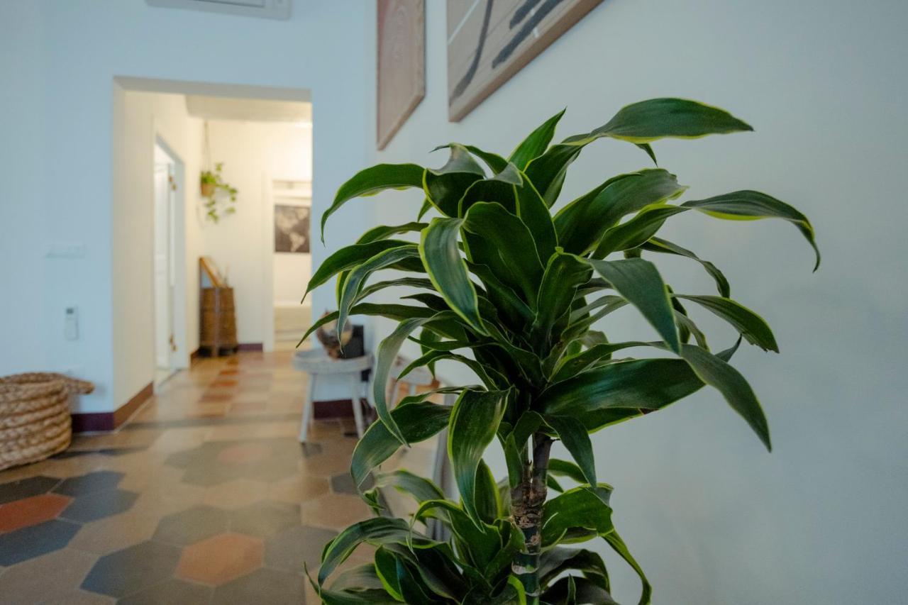 Domus Superior Navona - Pantheon Appartement *