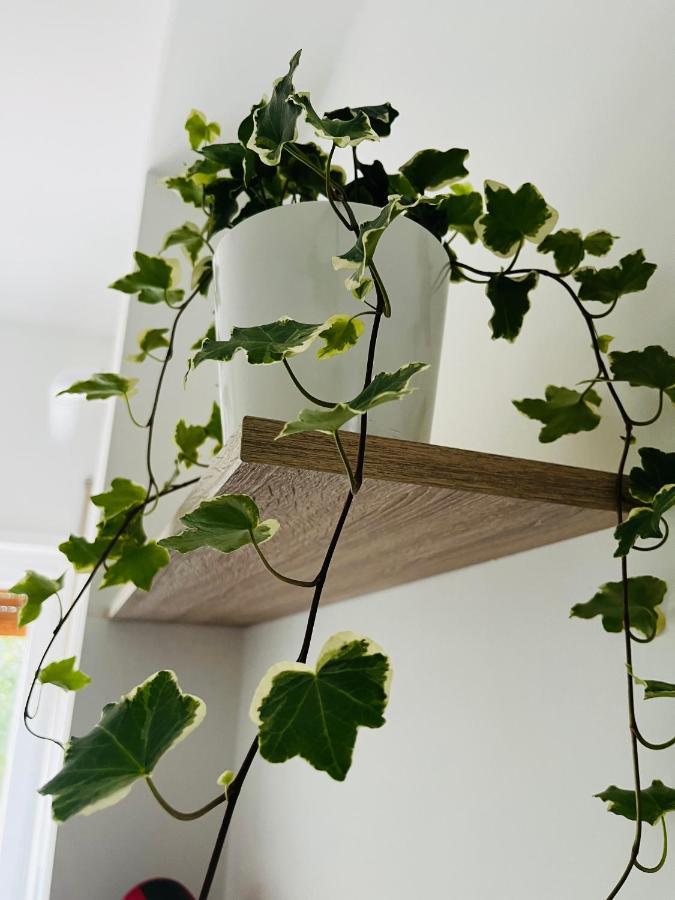 Apartment A&j San Pietro Rome