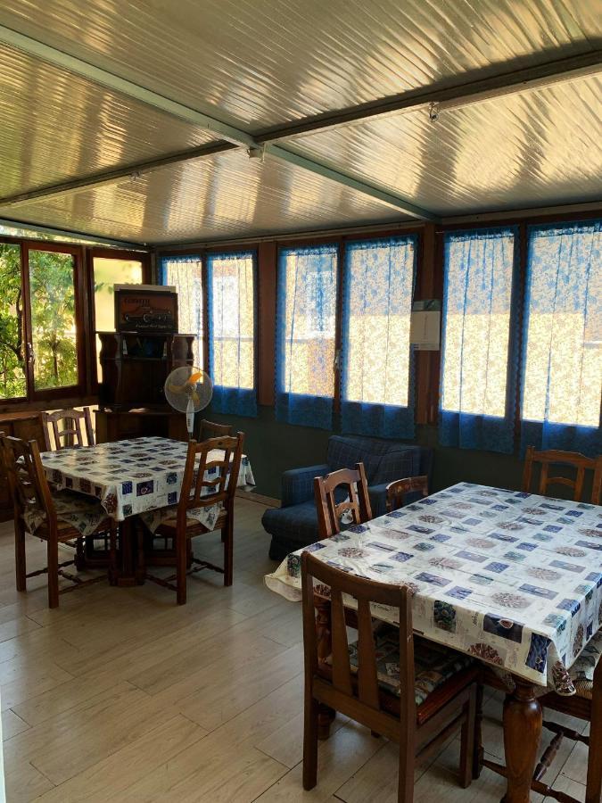 Guest house Elena *
