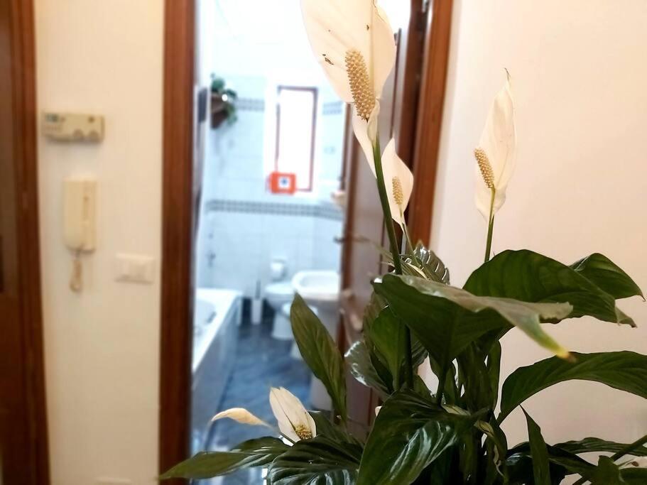 Al Colosseo Appartement Rome