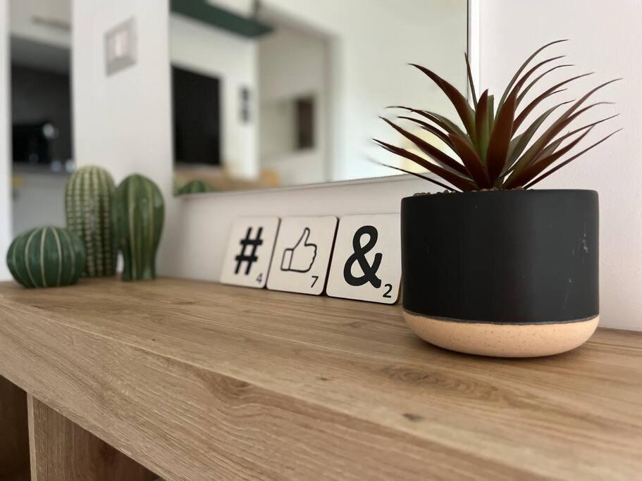 Casa - La Maison Jolie - Settecamini Appartement