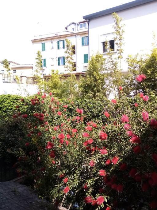 Indipendent Holiday House Apartment