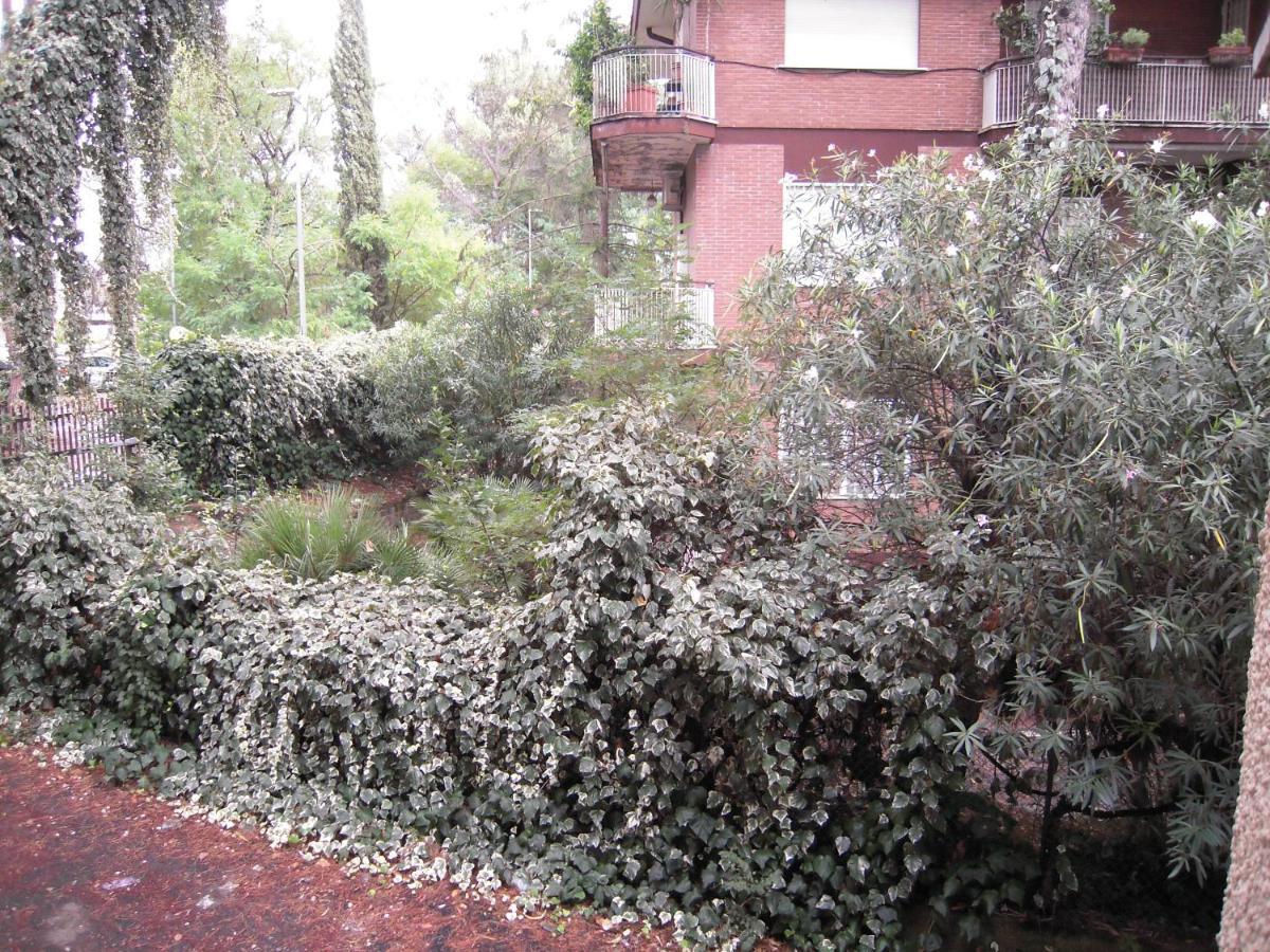 Cassia * Rome