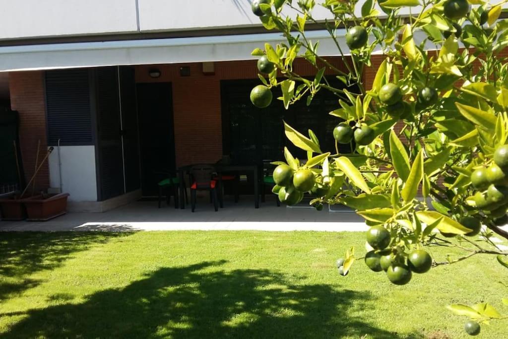 Cuore Del Parco - Heart Of Park Apartment Rome