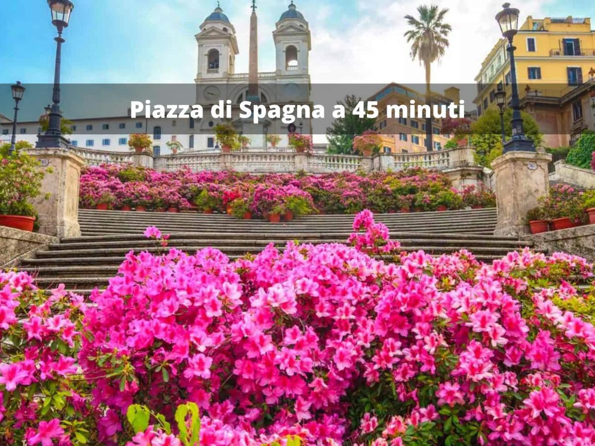 Vicino Ai Castelli Romani! Villetta Moderna Con Wifi E Parcheggio *