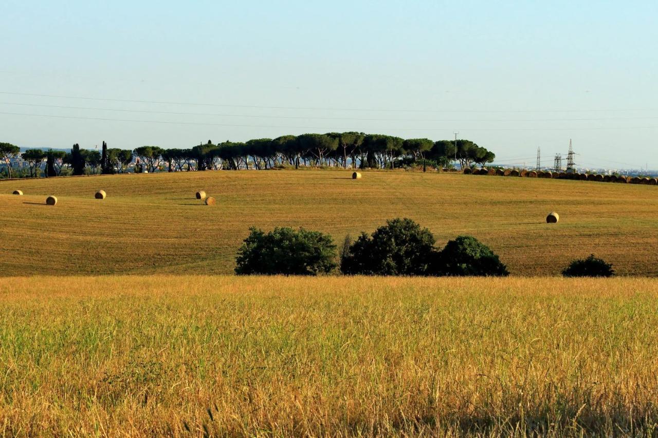 L'oasi Di Baal Villa *
