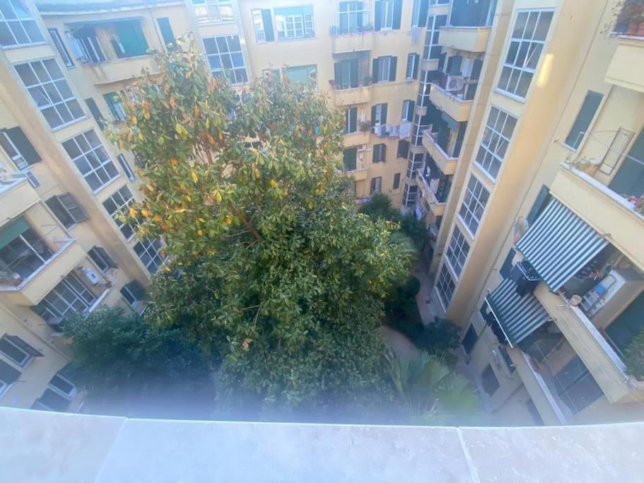 Domus Giulia & Andrea Appartement