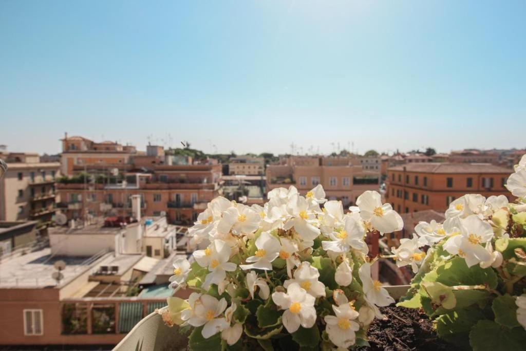 Attico Lucrino Panoramico Appartamento Roma