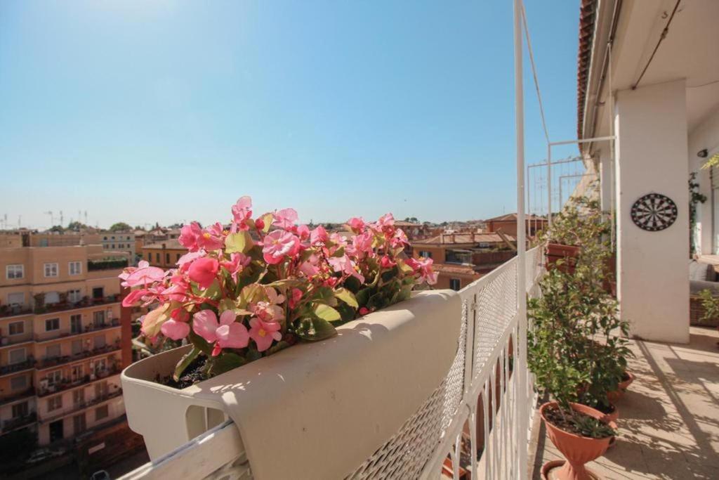 Attico Lucrino Panoramico Apartment