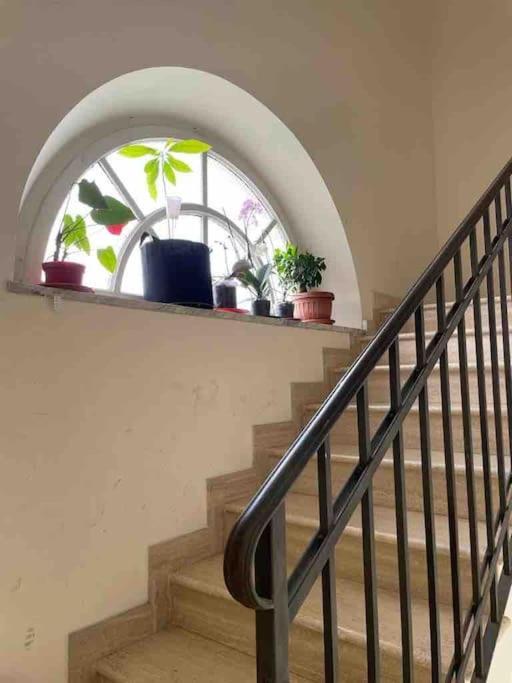 Residenza Castani - *