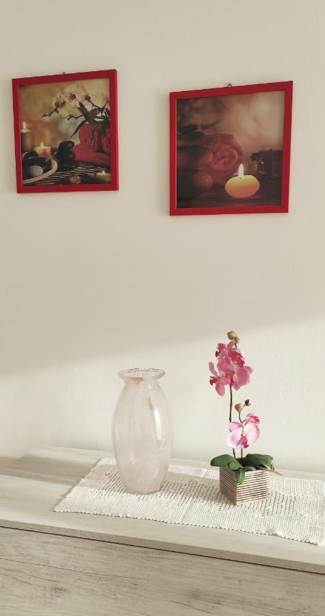 La Casa Di Dany Appartement *