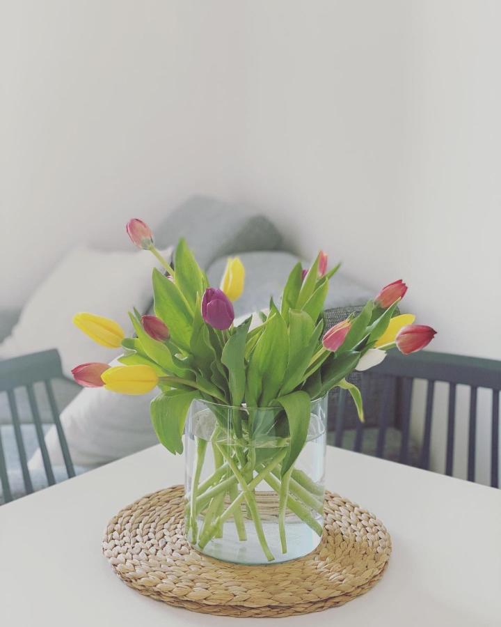 Apartment Cioccis Boutique *