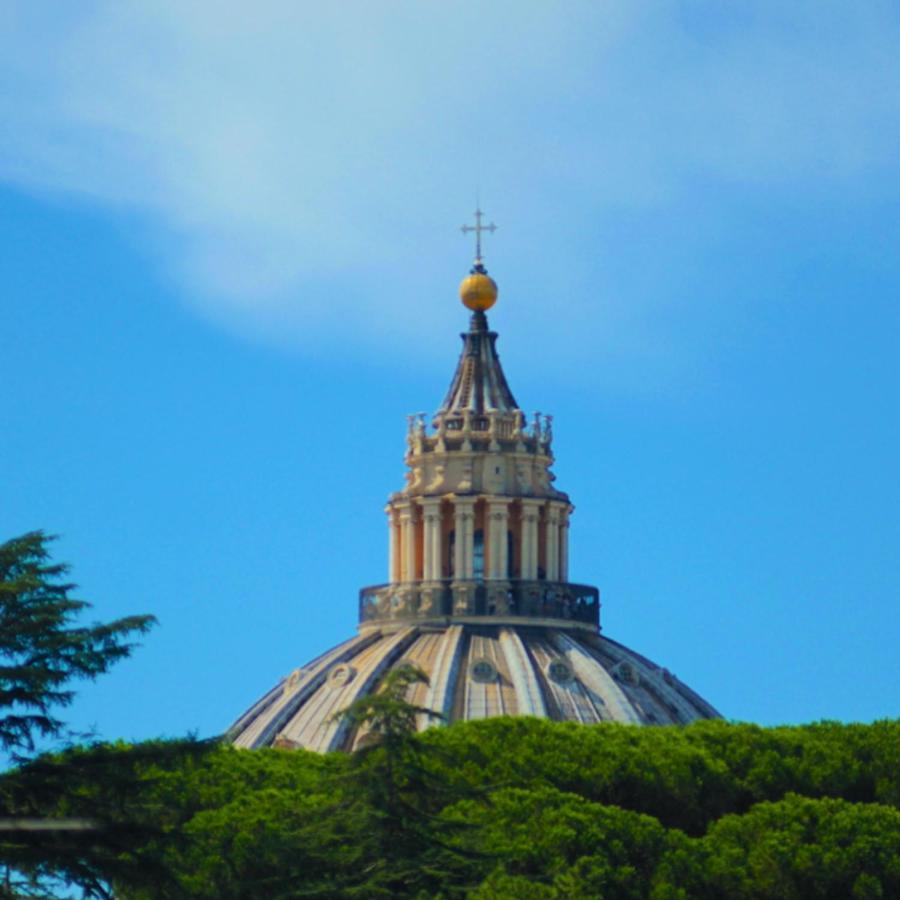 San Peter Terrace View Rome