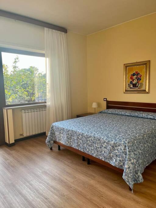 Apartment Green & Relax Near S.peter *