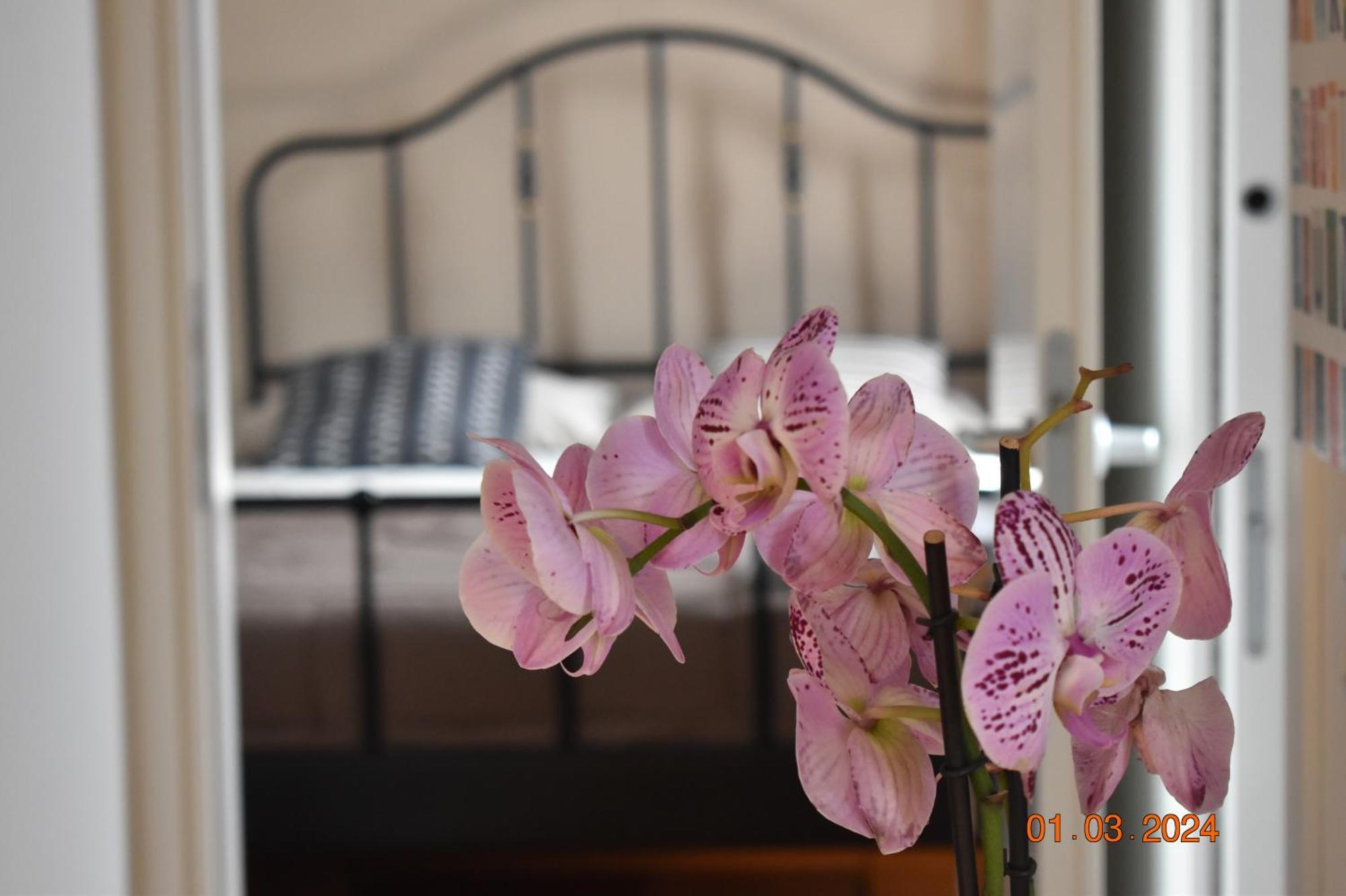 Apartment Trastevere St Ariabianca House