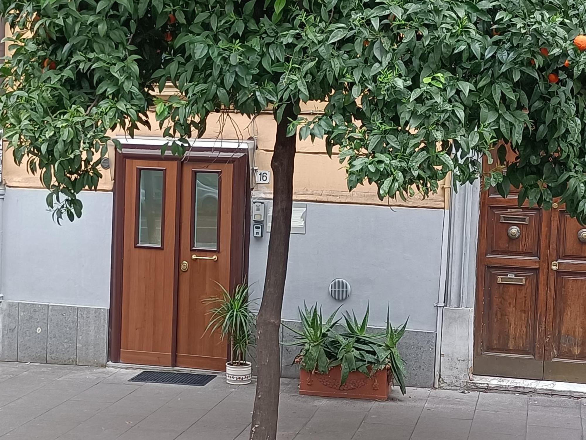 Viacatania16 Apartment Rome
