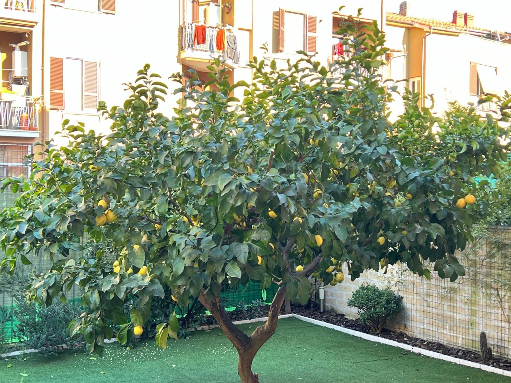 Vakantiehuis Casa Paestum. Your Wonderful Garden In Rome