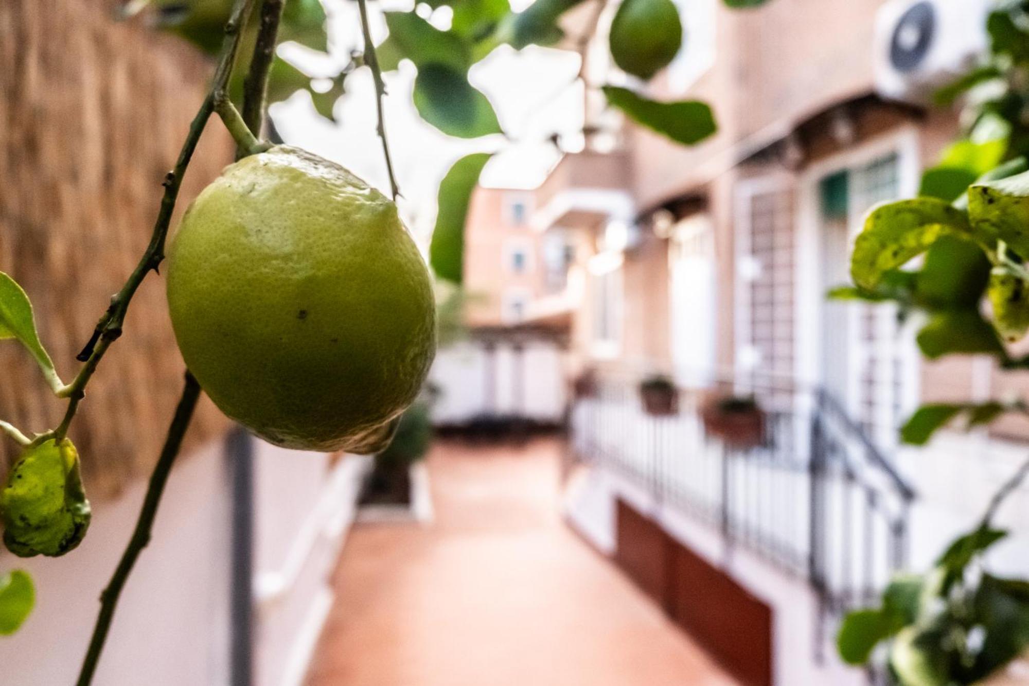 La Casupola - Gemelli Garden Appartement