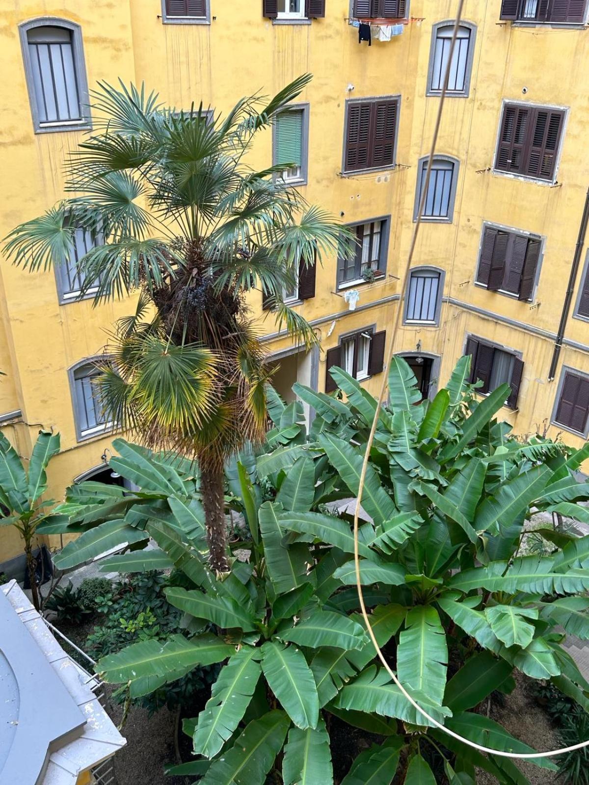 Apartment Vatican Vittoria Rome