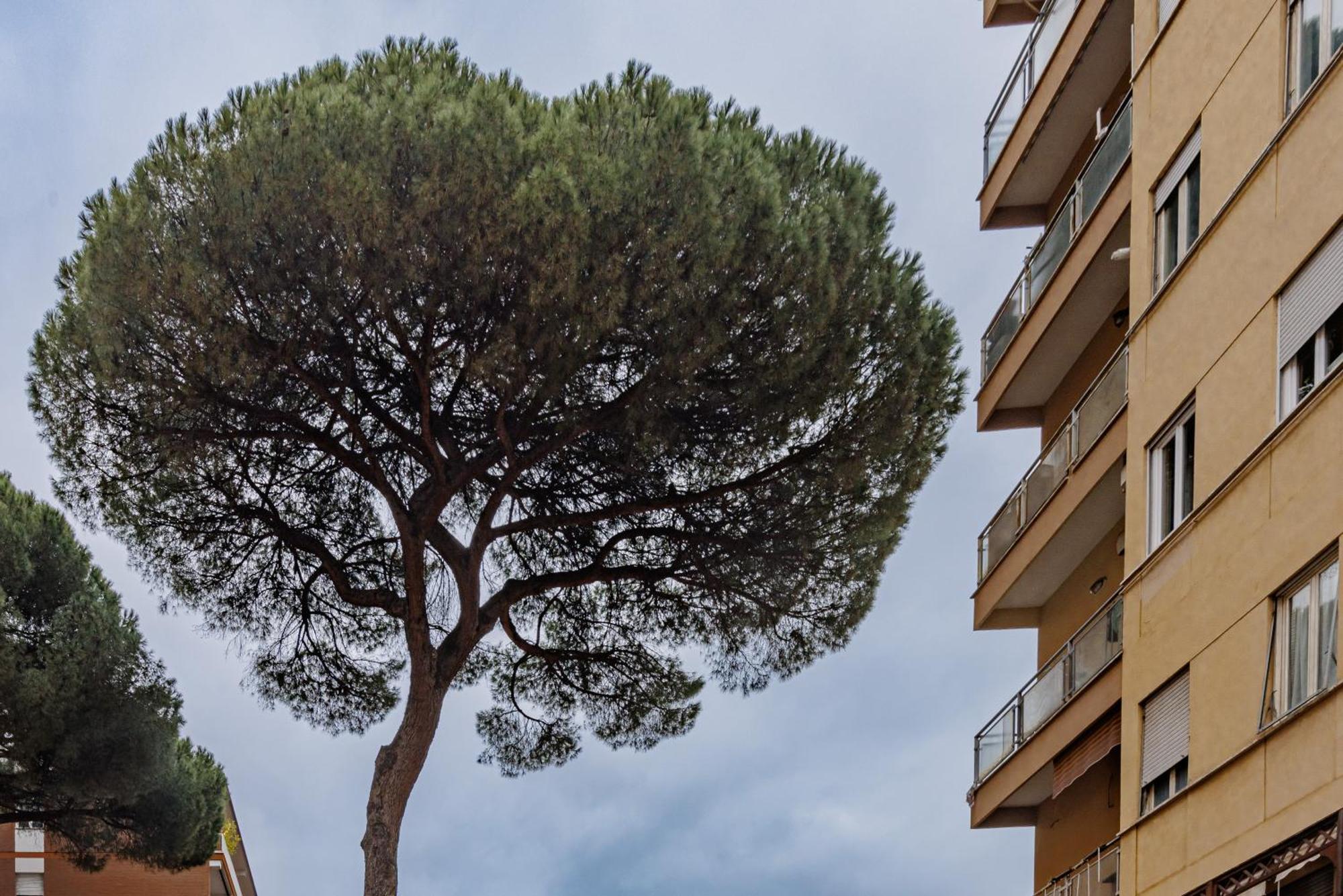 Appartement Pigneto Smart