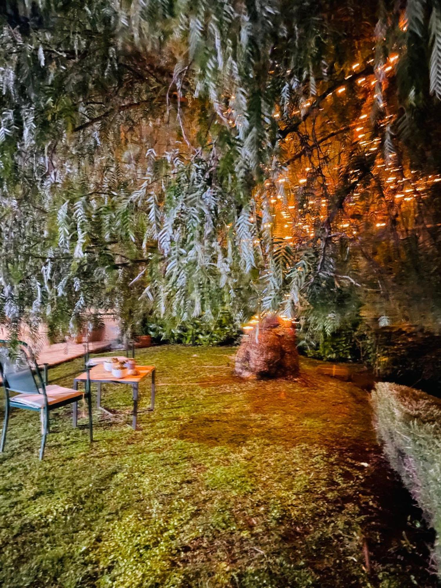 Casa Fiorita Appia Antica Apartment *