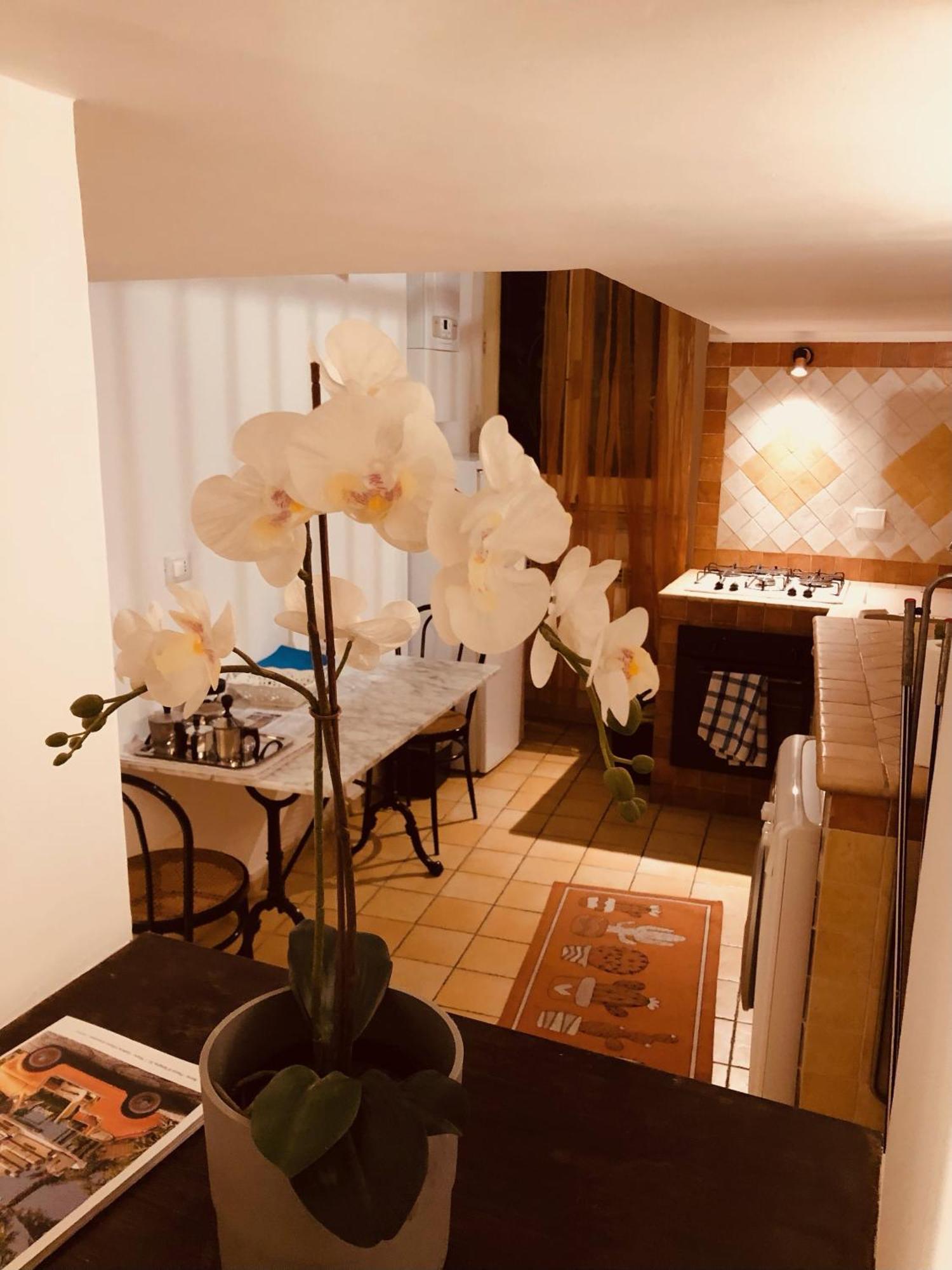 Apartment Campo De' Fiori Loft The Angeli's *