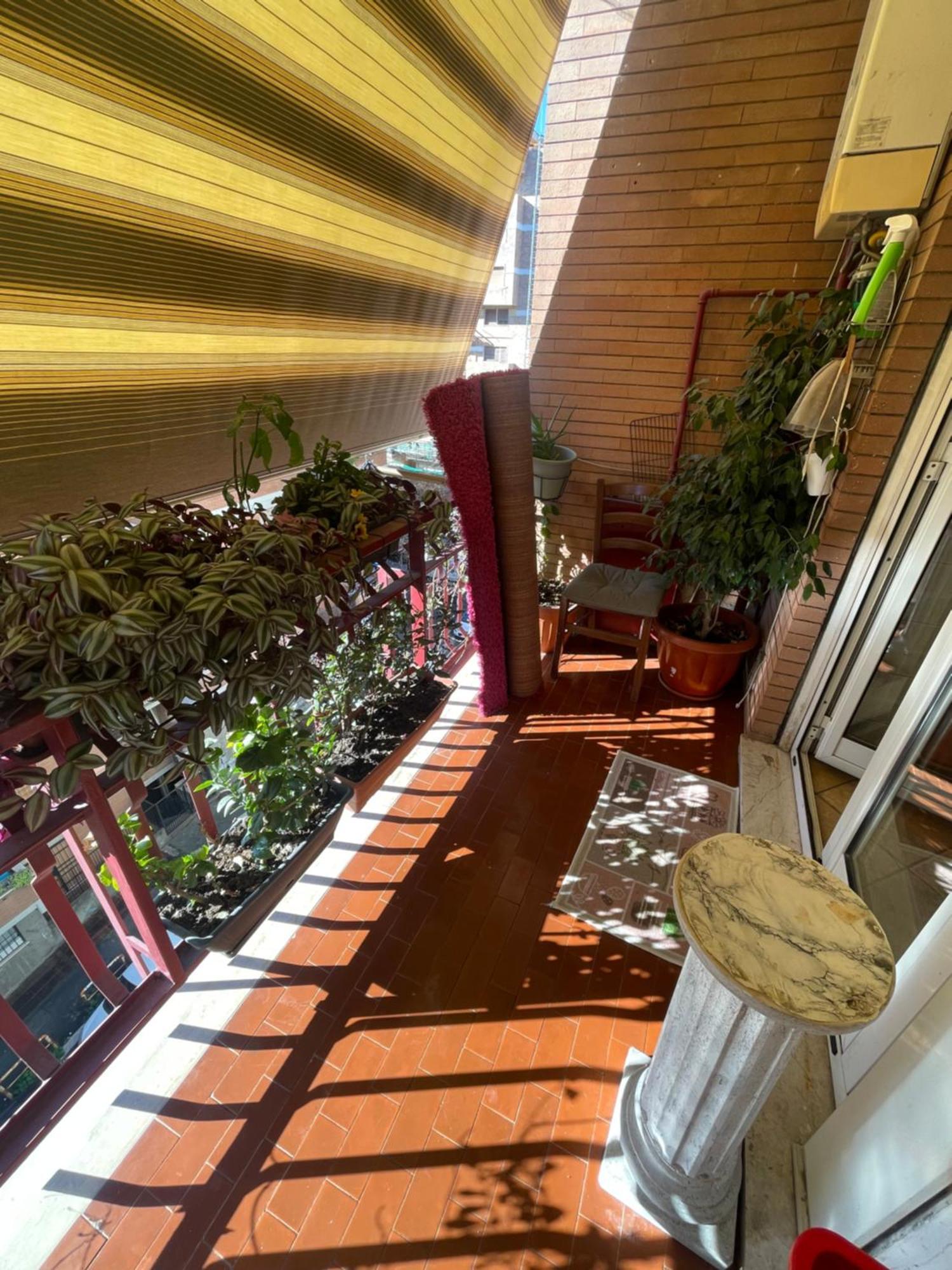 Appartement Exotic