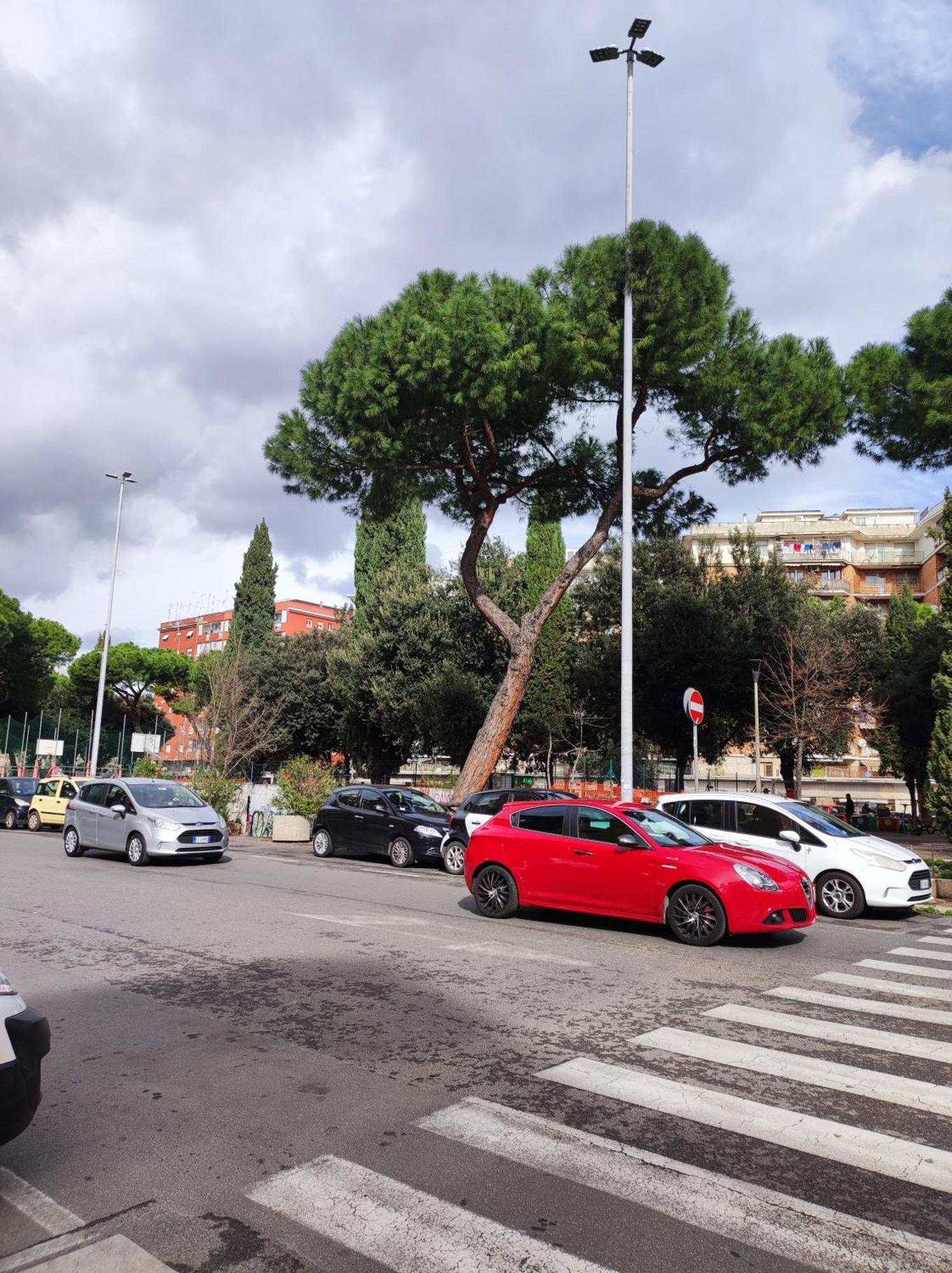 Consoli Apartamento Roma