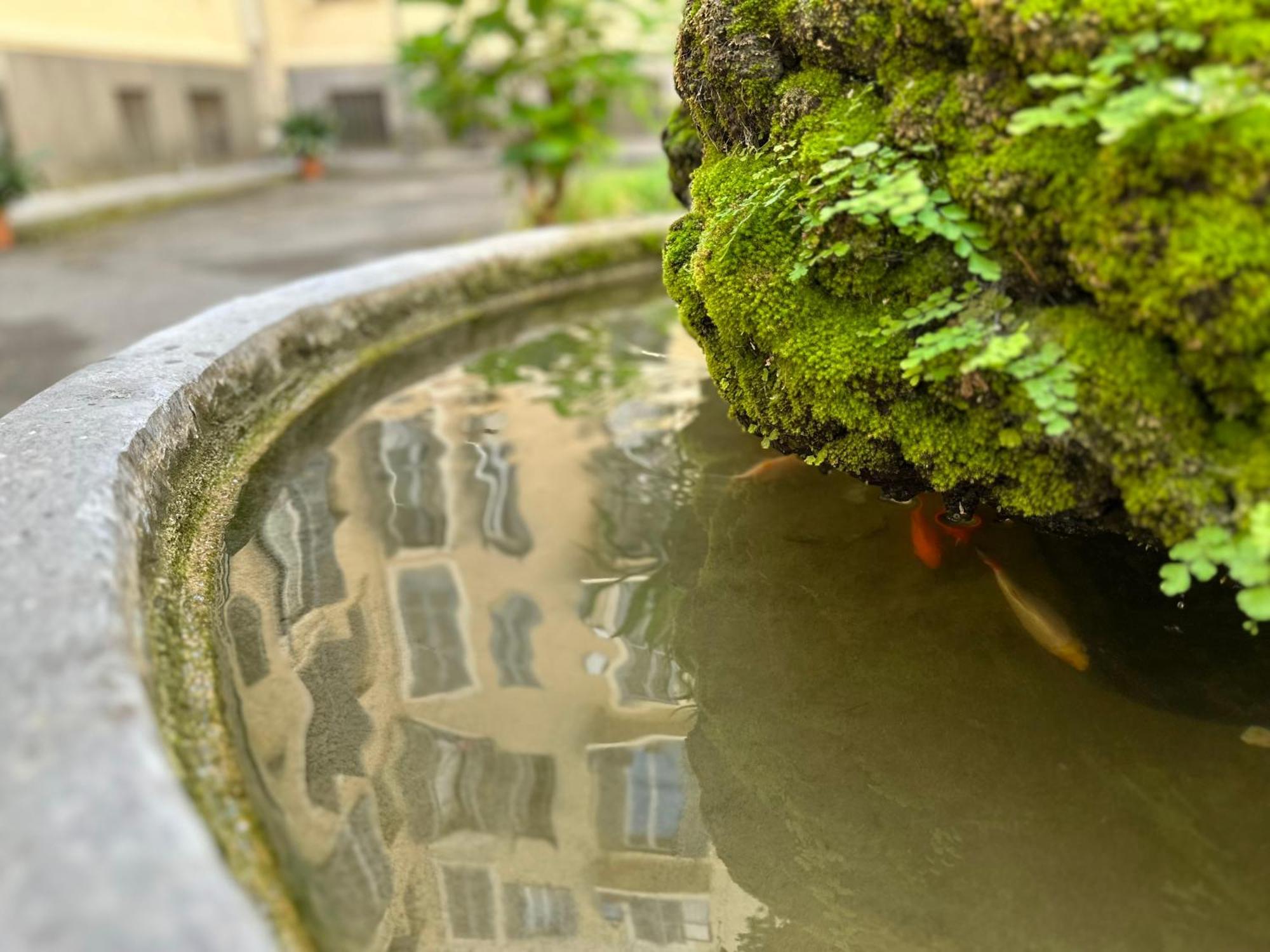 Appartement Casa Storica Anni '30: Da Fedro E Bianca *