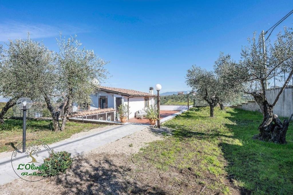 Oliveto Relax Turistico Apartment Rome