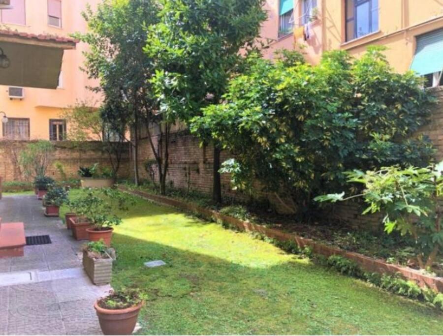 Apartment Domvs Dr *