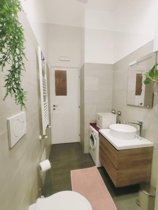 Apartment Friendly