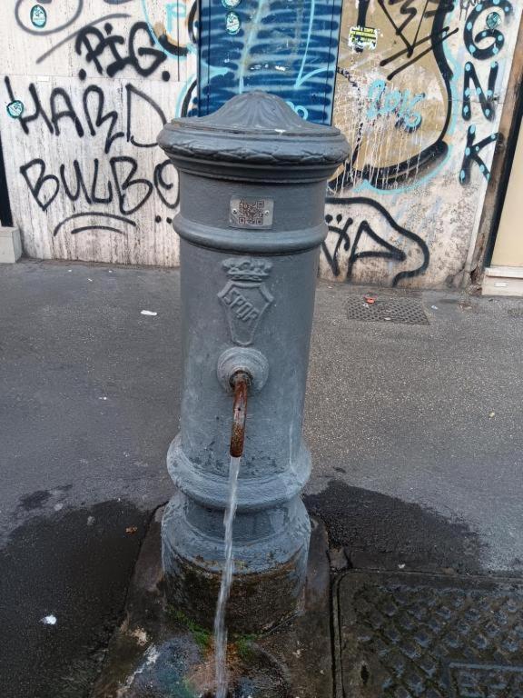 Nasoni Di Rome