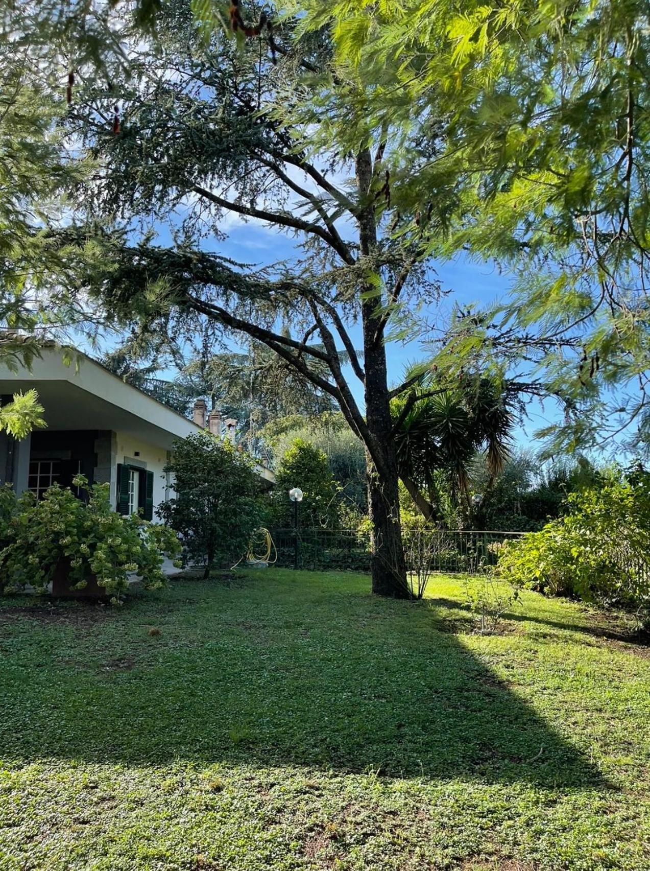 Delightful Stylish House With Private Garden Close To Downtown Casa de férias *