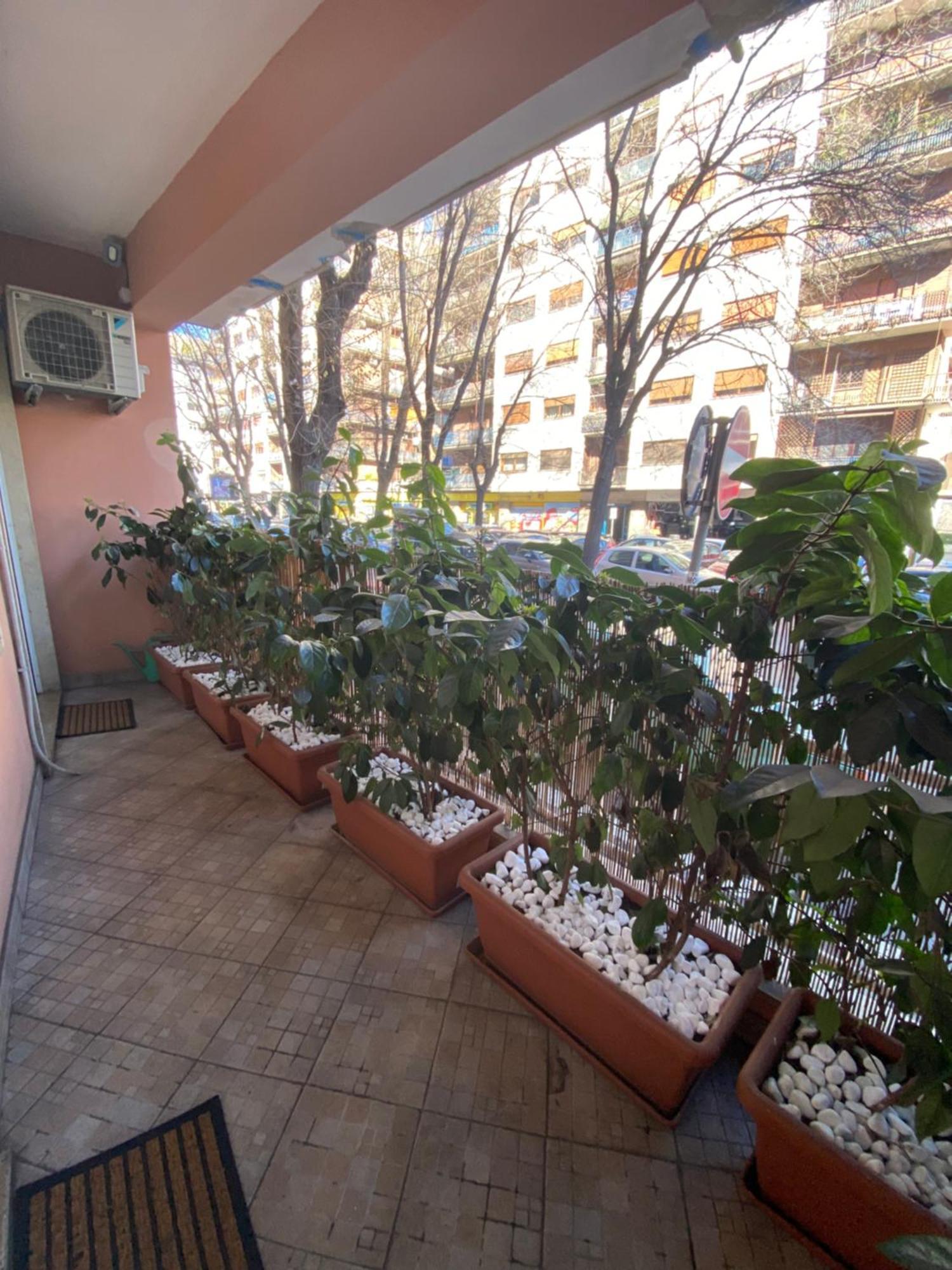 Pattoluxurysuite A Quartiere Trieste - Vicino Metro B1 Apartment Rome