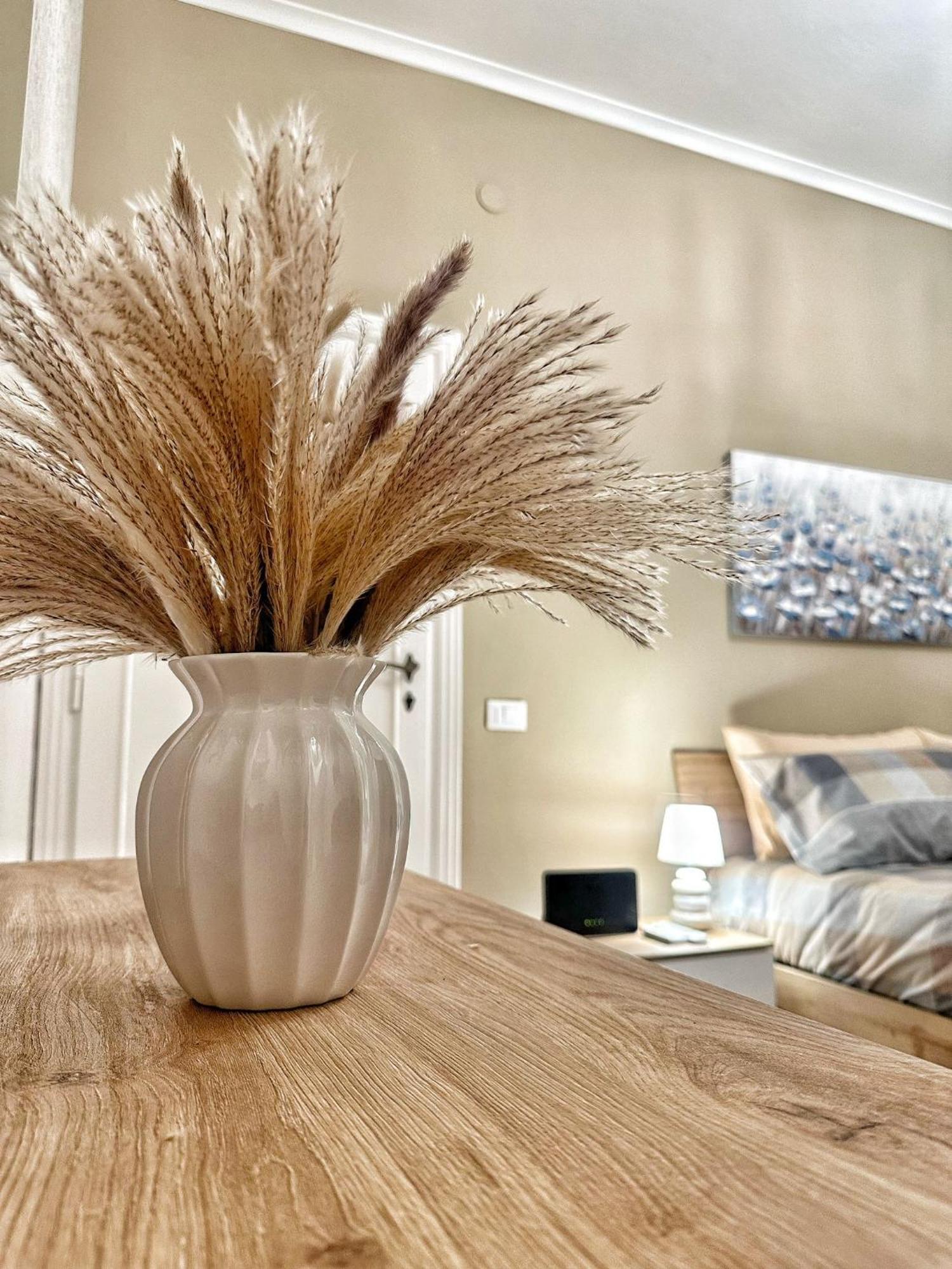 Appartement Maison Grimaldi