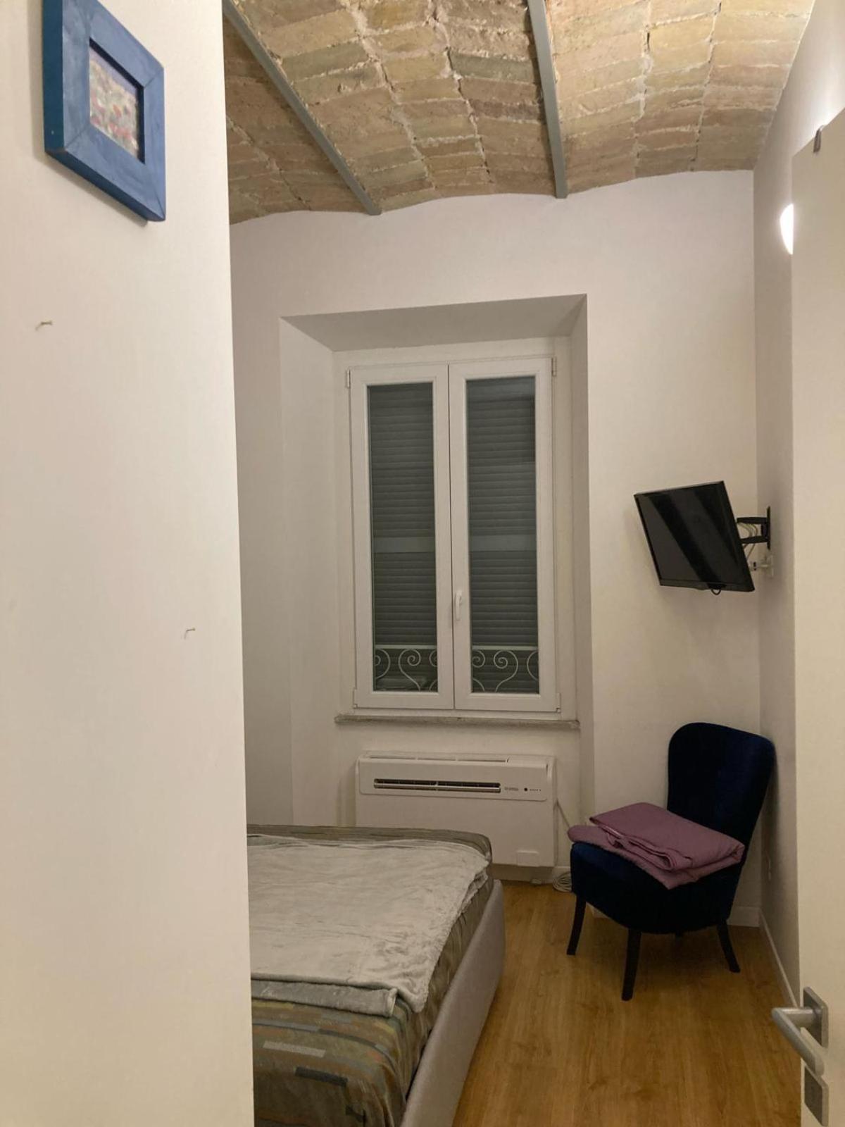 Apartment Lion 99