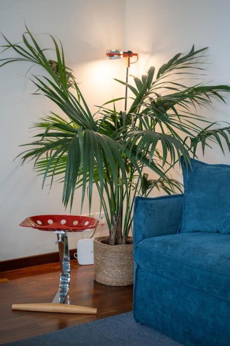Appartement Pgrhome Barberini Rome