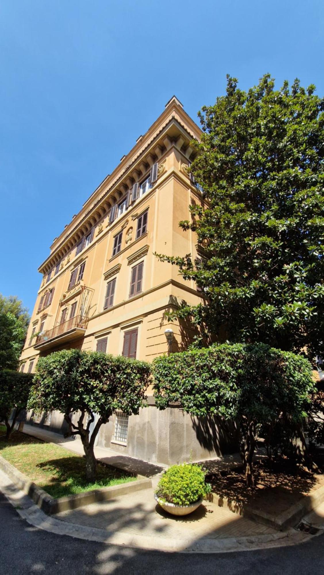 Borghese Magnolia