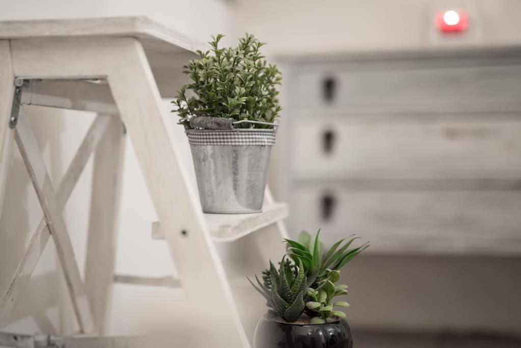 Shabby @trastevere Appartement