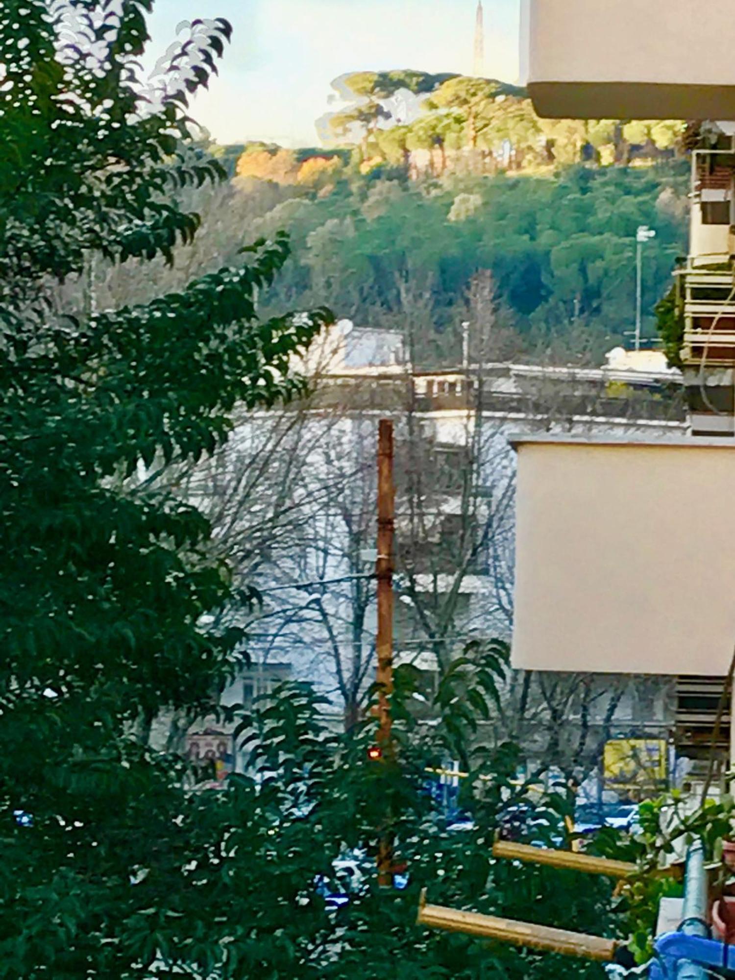 Pardis Auberge de jeunesse