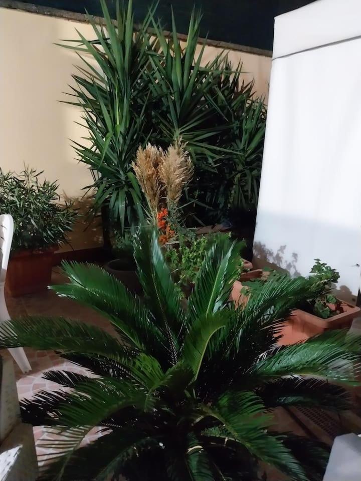 Il Giardino Di Marimar Apartment *