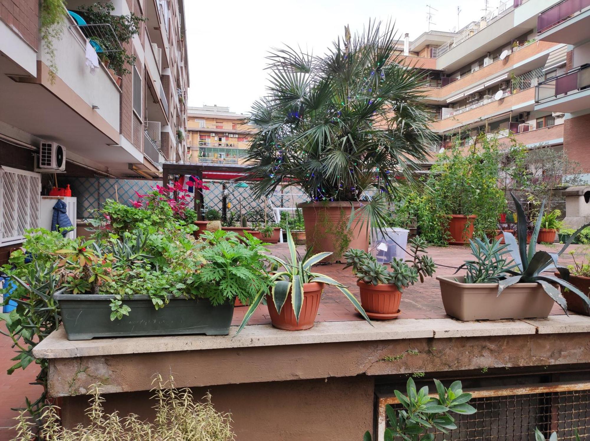 Terrazza Di Ernesto Apartment *