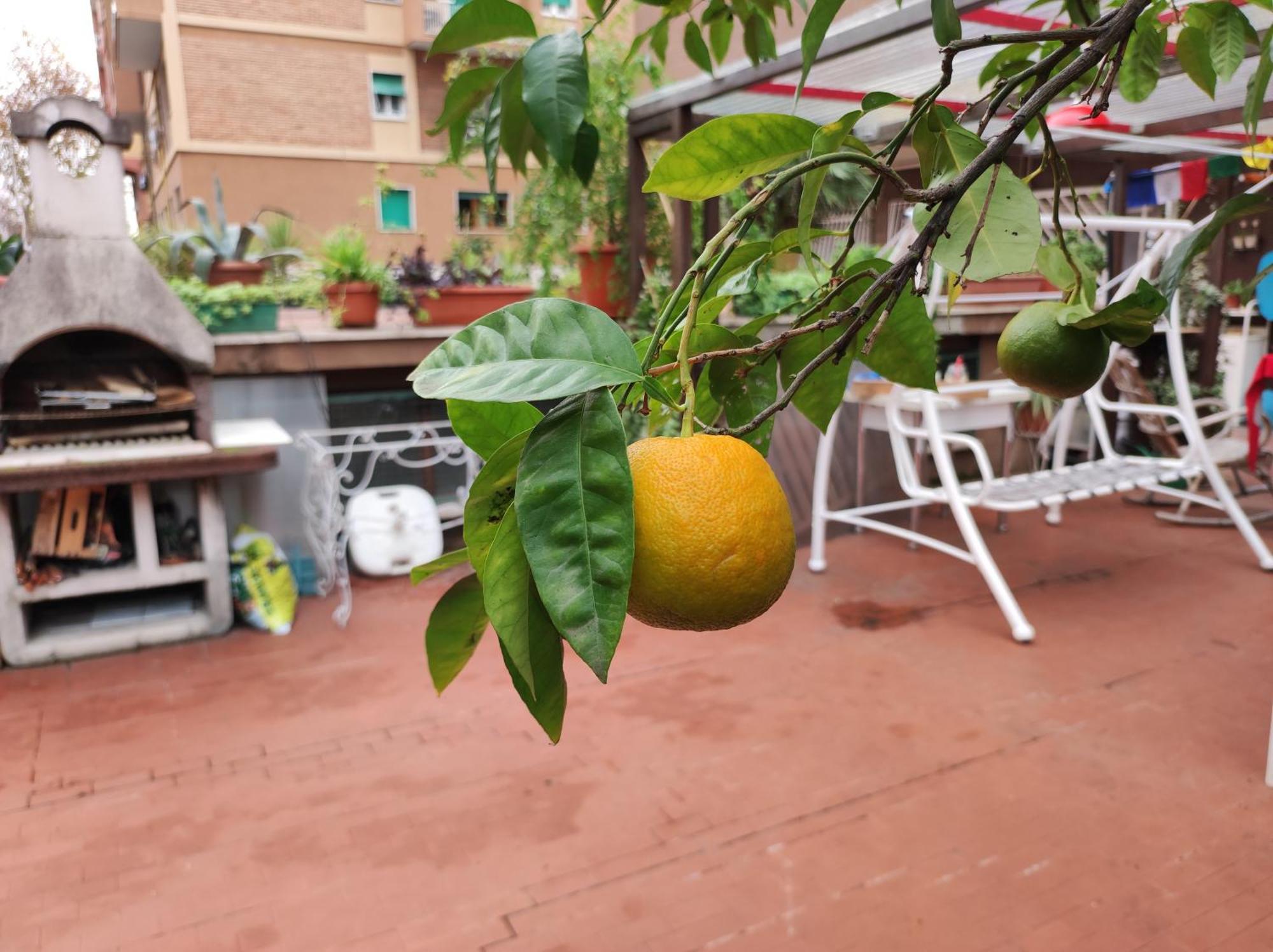 Terrazza Di Ernesto Rome