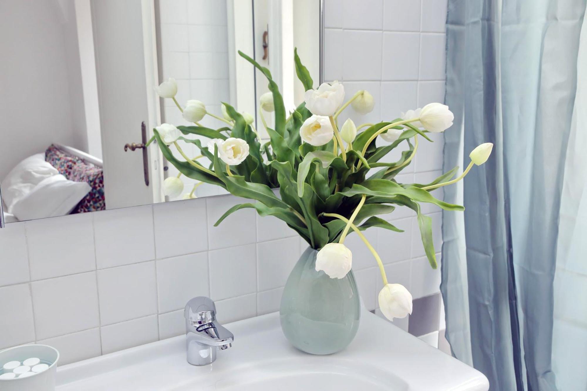Apartment Cimarra *