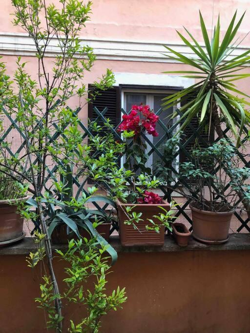 Appartement Centro Storico Con Terrazza *