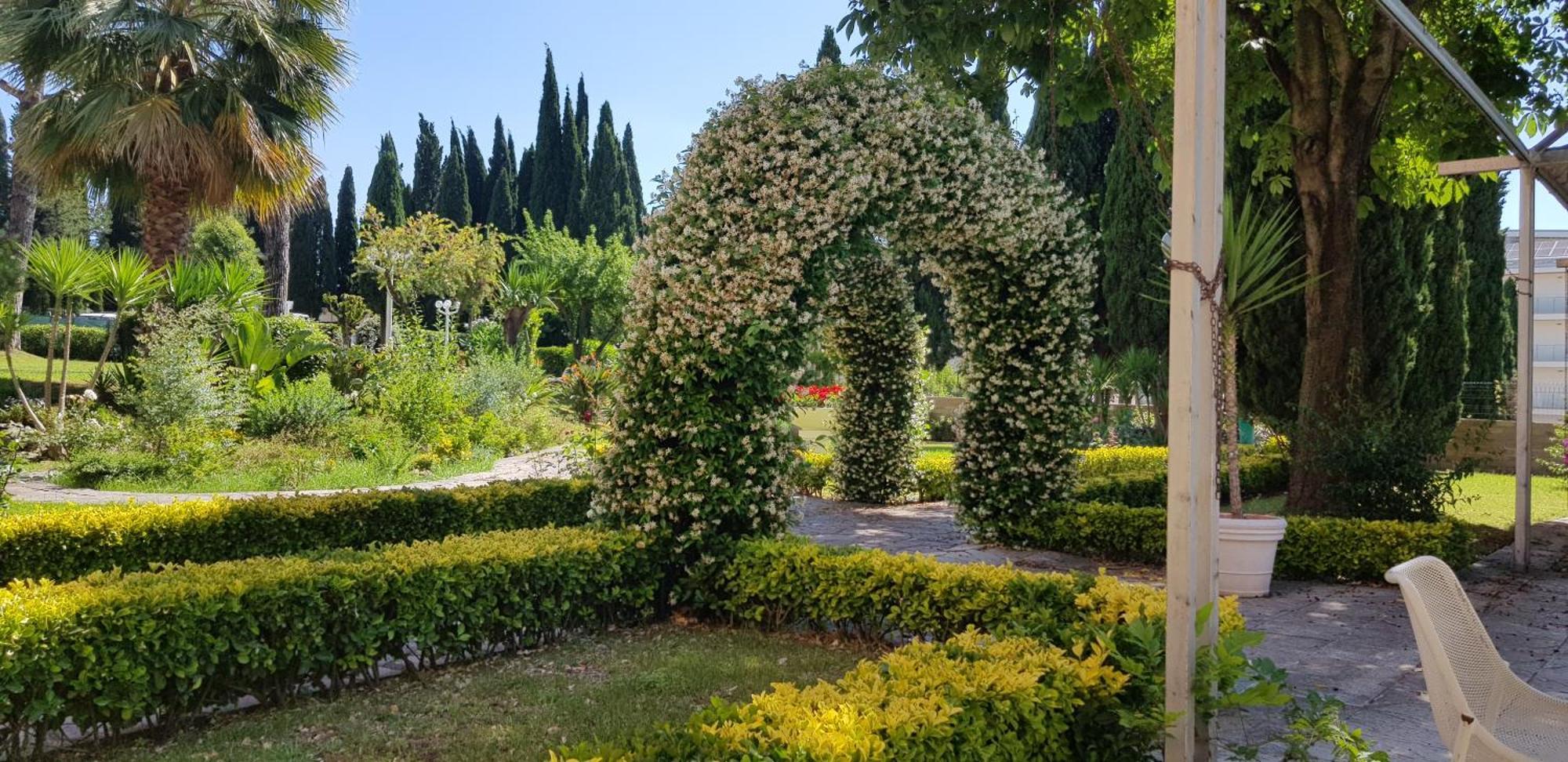 Oasis *