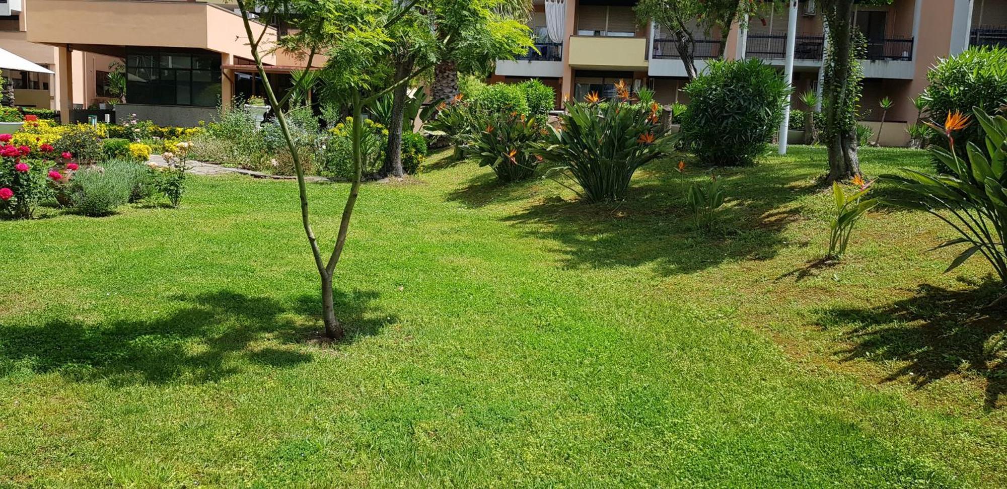 Appartamento Oasis *